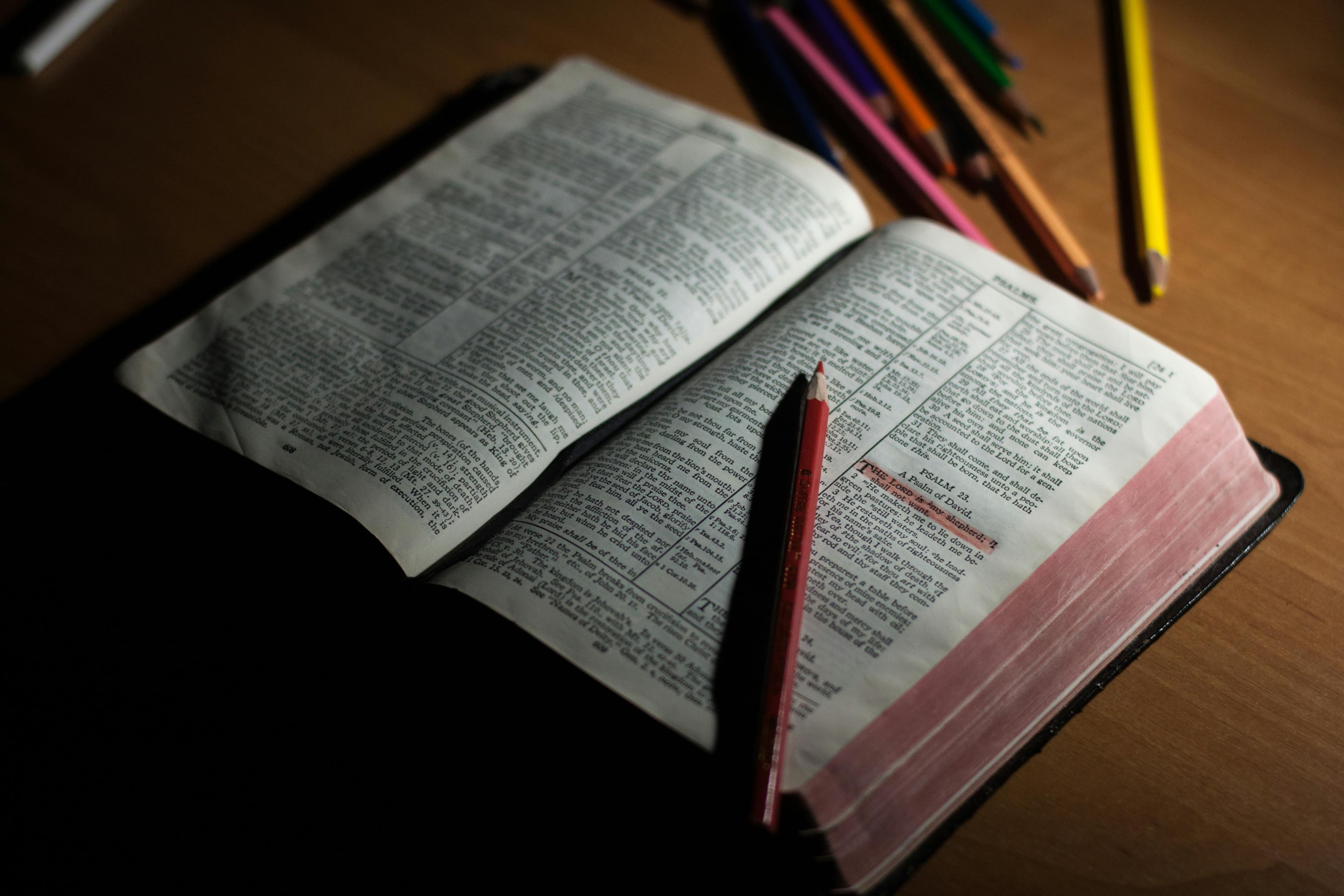 bible studies
